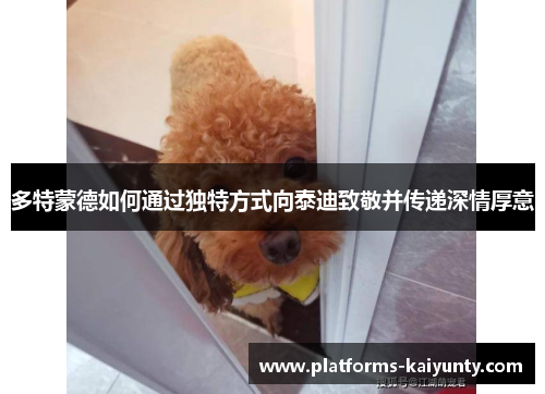 多特蒙德如何通过独特方式向泰迪致敬并传递深情厚意 多特蒙德如何通过独特方式向泰迪致敬并传递深情厚意