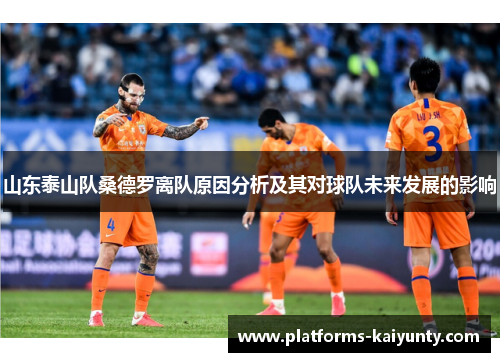 山东泰山队桑德罗离队原因分析及其对球队未来发展的影响 山东泰山队桑德罗离队原因分析及其对球队未来发展的影响