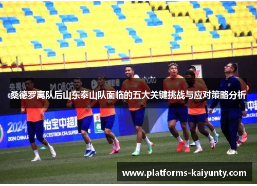 桑德罗离队后山东泰山队面临的五大关键挑战与应对策略分析 桑德罗离队后山东泰山队面临的五大关键挑战与应对策略分析