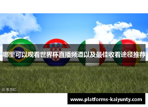 哪里可以观看世界杯直播频道以及最佳收看途径推荐 哪里可以观看世界杯直播频道以及最佳收看途径推荐