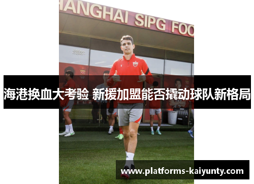 海港换血大考验 新援加盟能否撬动球队新格局 海港换血大考验 新援加盟能否撬动球队新格局