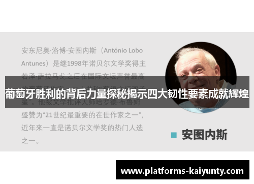 葡萄牙胜利的背后力量探秘揭示四大韧性要素成就辉煌 葡萄牙胜利的背后力量探秘揭示四大韧性要素成就辉煌