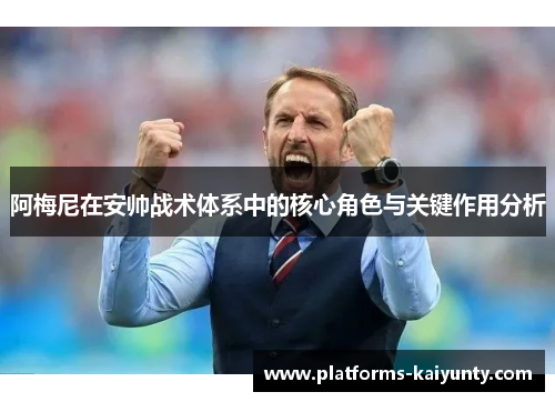 阿梅尼在安帅战术体系中的核心角色与关键作用分析 阿梅尼在安帅战术体系中的核心角色与关键作用分析